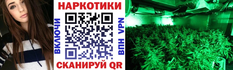 Купить наркоту Новодвинск KRAKEN   Меф мяу мяу  ГАШИШ  Канабис 