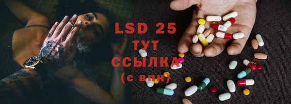 ПСИЛОЦИБИНОВЫЕ ГРИБЫ Новозыбков