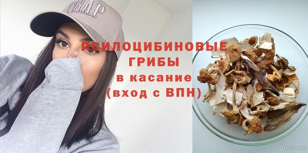 трава Балахна